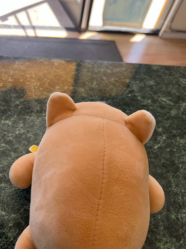 Dry Cleaner «NEXTGEN Cleaners», reviews and photos, 1574 Branham Ln, San Jose, CA 95118, USA