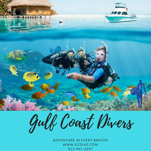 Scuba diving beginners courses Tampa