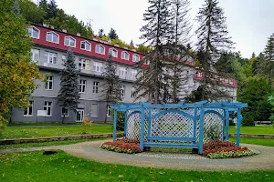 Szpital i Sanatorium Uzdrowiskowe "Eskulap" image
