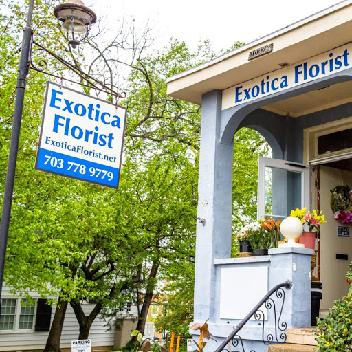 Exotica Florist, 10376 Main Street, Fairfax, VA 22030, USA, 