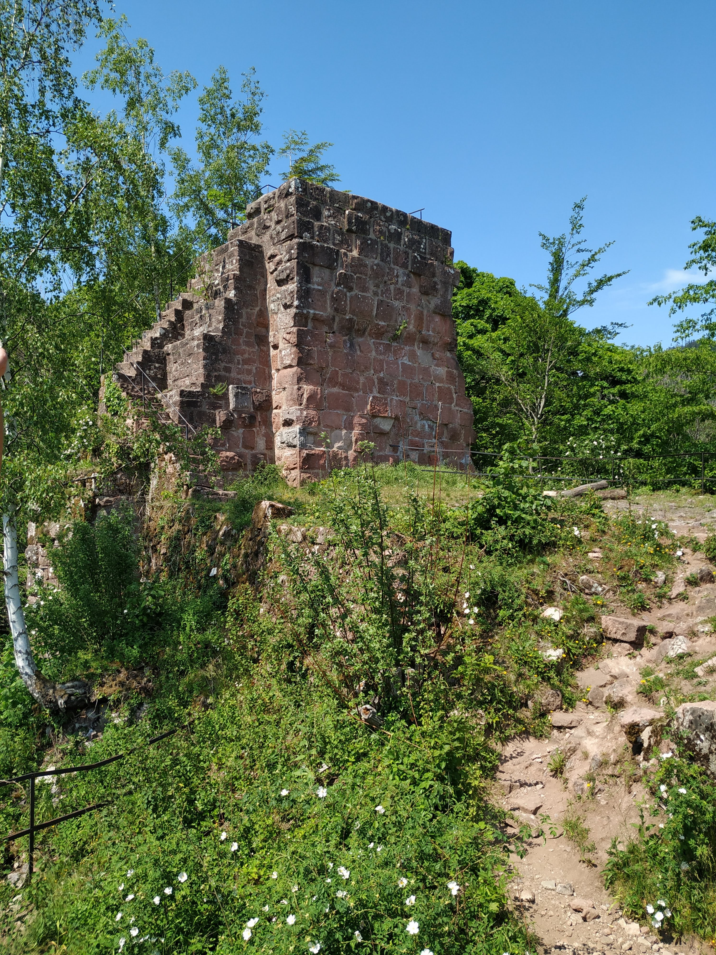 Photo n° 1 de l'avis de Antonin.R fait le 09/06/2019 à 21:46