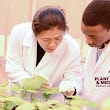 Department of Plant Pathology and Microbiology