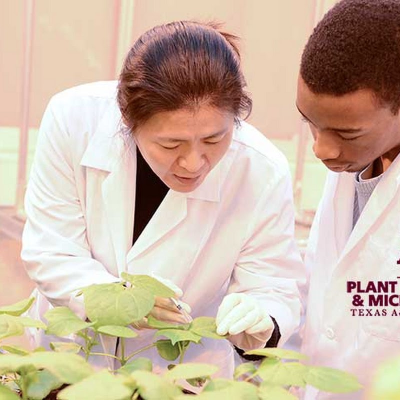Department of Plant Pathology and Microbiology