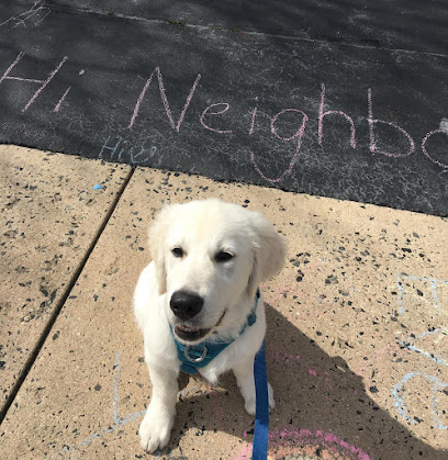 Buds | Walk. Play. Wag.