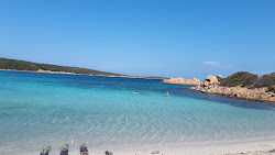 Cala Andreani'in fotoğrafı kirli temizlik seviyesi ile