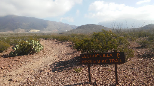 Lost Dog Trail Head