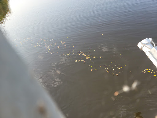 Park «Coon Rapids Dam Regional Park», reviews and photos, 9750 Egret Blvd NW, Coon Rapids, MN 55433, USA