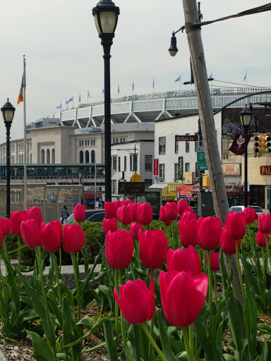 Stadium «Yankee Stadium», reviews and photos, 1 E 161st St, Bronx, NY 10451, USA
