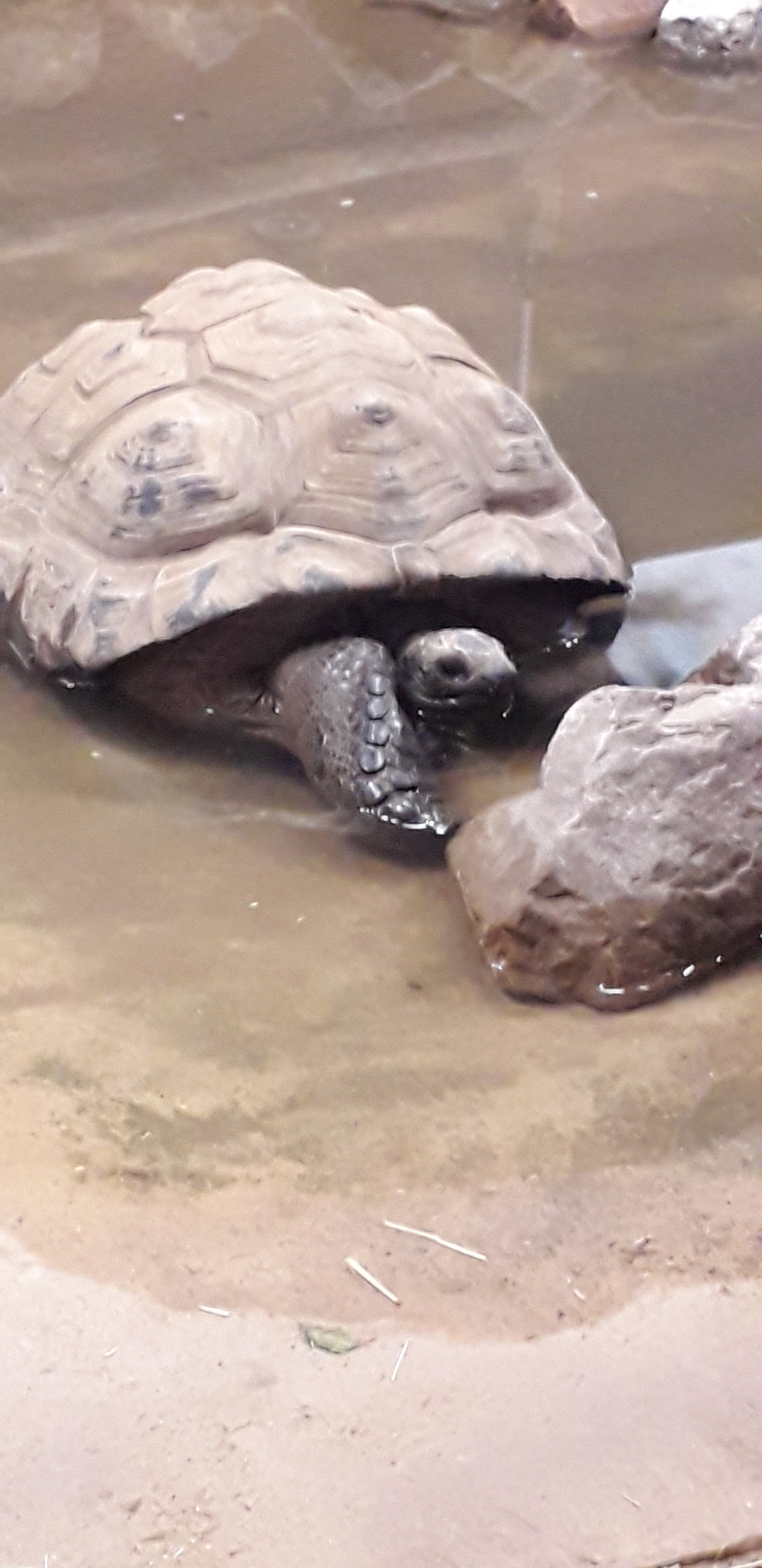 Photo n° 2 de l'avis de Nelly.n fait le 05/06/2022 à 19:16