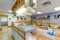New Generations Child Development Center - Photo 2 - Car repair in Atlanta, GA, Atlanta