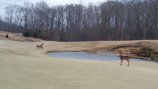 Golf Club «Golf Club of Tennessee», reviews and photos, 1000 Golf Club Dr, Kingston Springs, TN 37082, USA