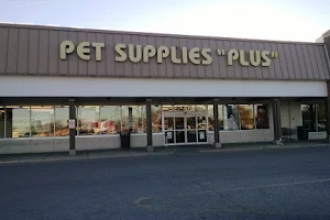 Pet Supplies Plus Oak Lawn image