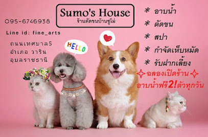 SUMO'S HOUSE ร้านตัดขนบ้านซูโม่ รับฝากเลี้ยง