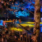 Photo n°1 de l'avis de Semefeh. fait le 31/10/2023 à 22:33 sur le  Tier-Erlebnispark Bell à Bell