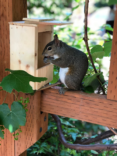 Hardware Store «52nd Ave Hardware & Building Supply Inc», reviews and photos, 7100 SE 52nd Ave, Portland, OR 97206, USA