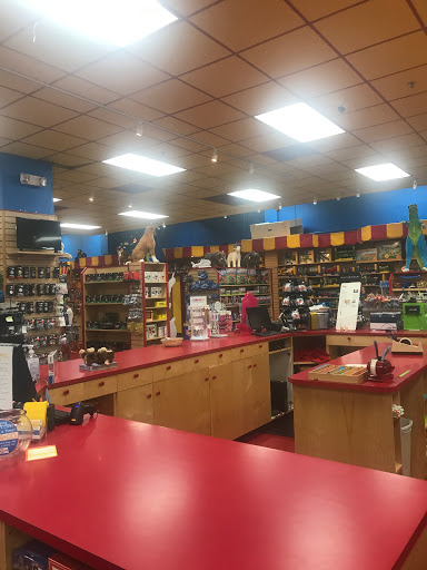 Toy Store «Toys & Co.», reviews and photos, 242 S Sharon Amity Rd, Charlotte, NC 28211, USA