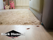 Black Diamond Pest Control - Photo 5 - Car repair in Knoxville, TN, Knoxville