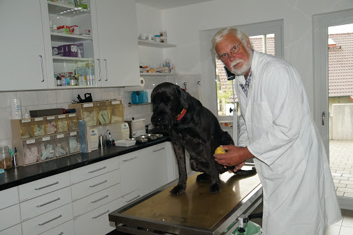 Dr. Dirk Lellbach, prakt. Tierarzt unter Bad Kissingen, 