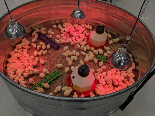 Animal Feed Store «Wilco Farm Store», reviews and photos, 1905 NE Four Acre Pl, Corvallis, OR 97330, USA