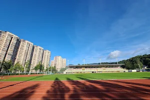 Tai Po Sports Ground image
