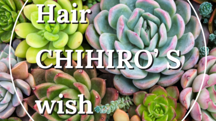Hair CHIHIRO's wish