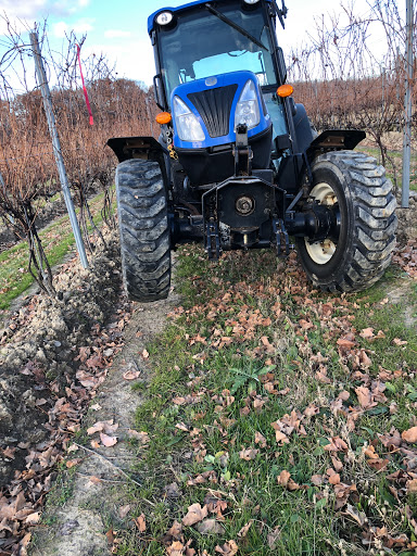 Winery «M Cellars», reviews and photos, 6193 S River Rd W, Geneva, OH 44041, USA