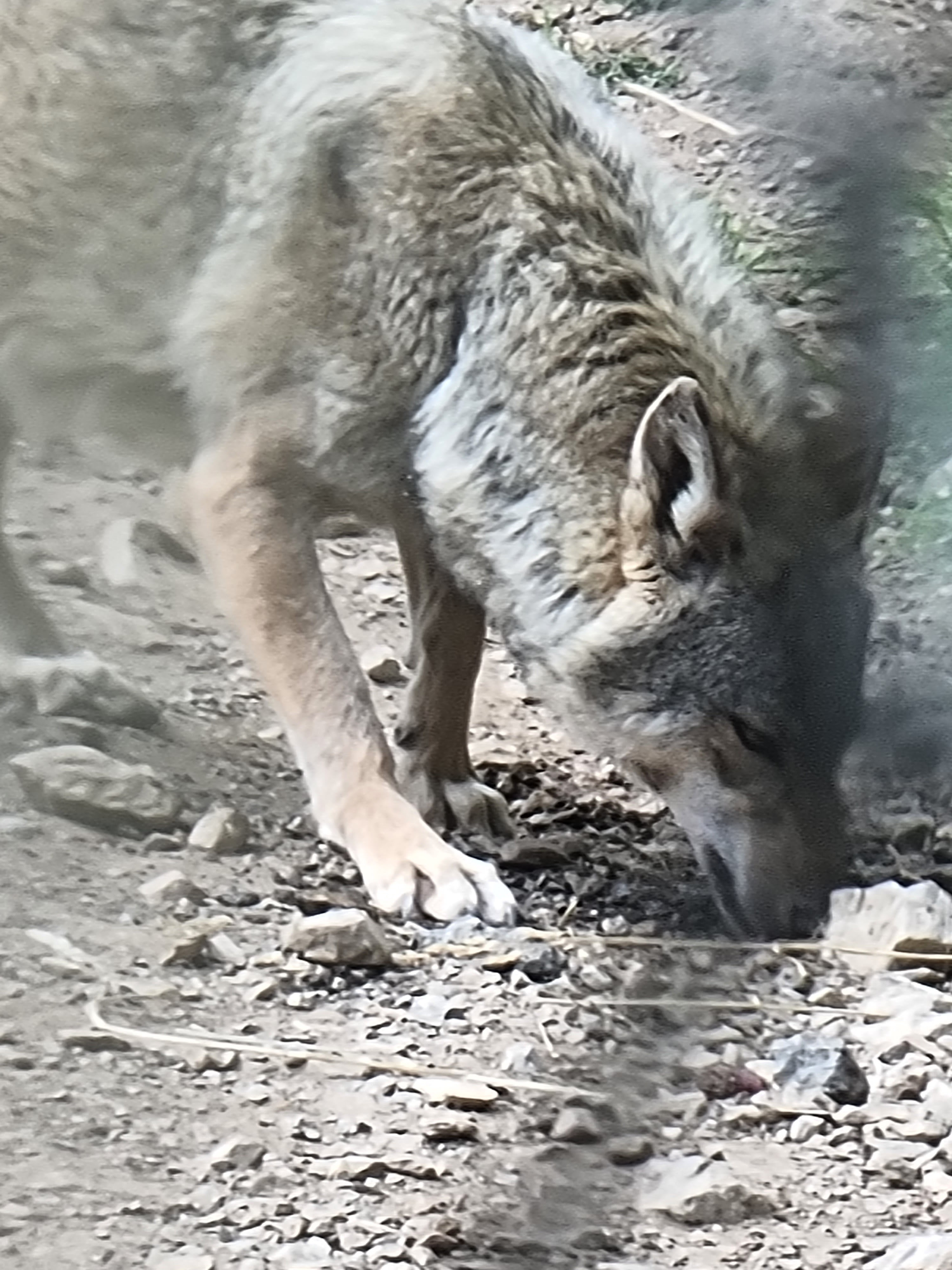 Photo n° 1 de l'avis de Jean-marc.a fait le 27/06/2022 à 06:53