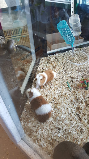 Pet Store «Pet Time», reviews and photos, 3141 W 11th Ave, Eugene, OR 97402, USA