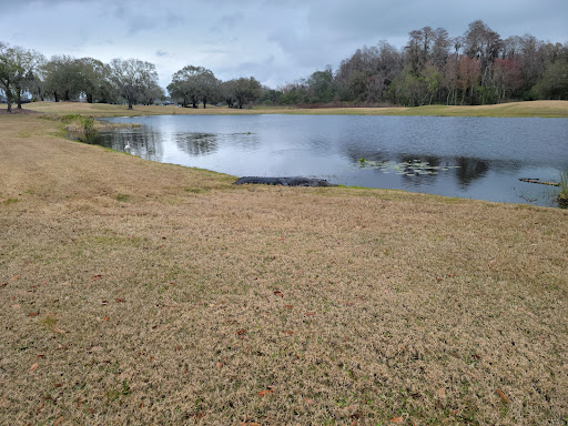 Golf Course «Cypress Creek Golf Club», reviews and photos, 1011 Cypress Village Blvd, Sun City Center, FL 33573, USA