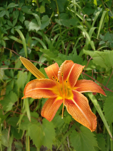 State Park «Woodlawn Beach State Park», reviews and photos, 3580 Lakeshore Rd, Blasdell, NY 14219, USA