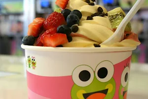 sweetFrog Premium Frozen Yogurt image
