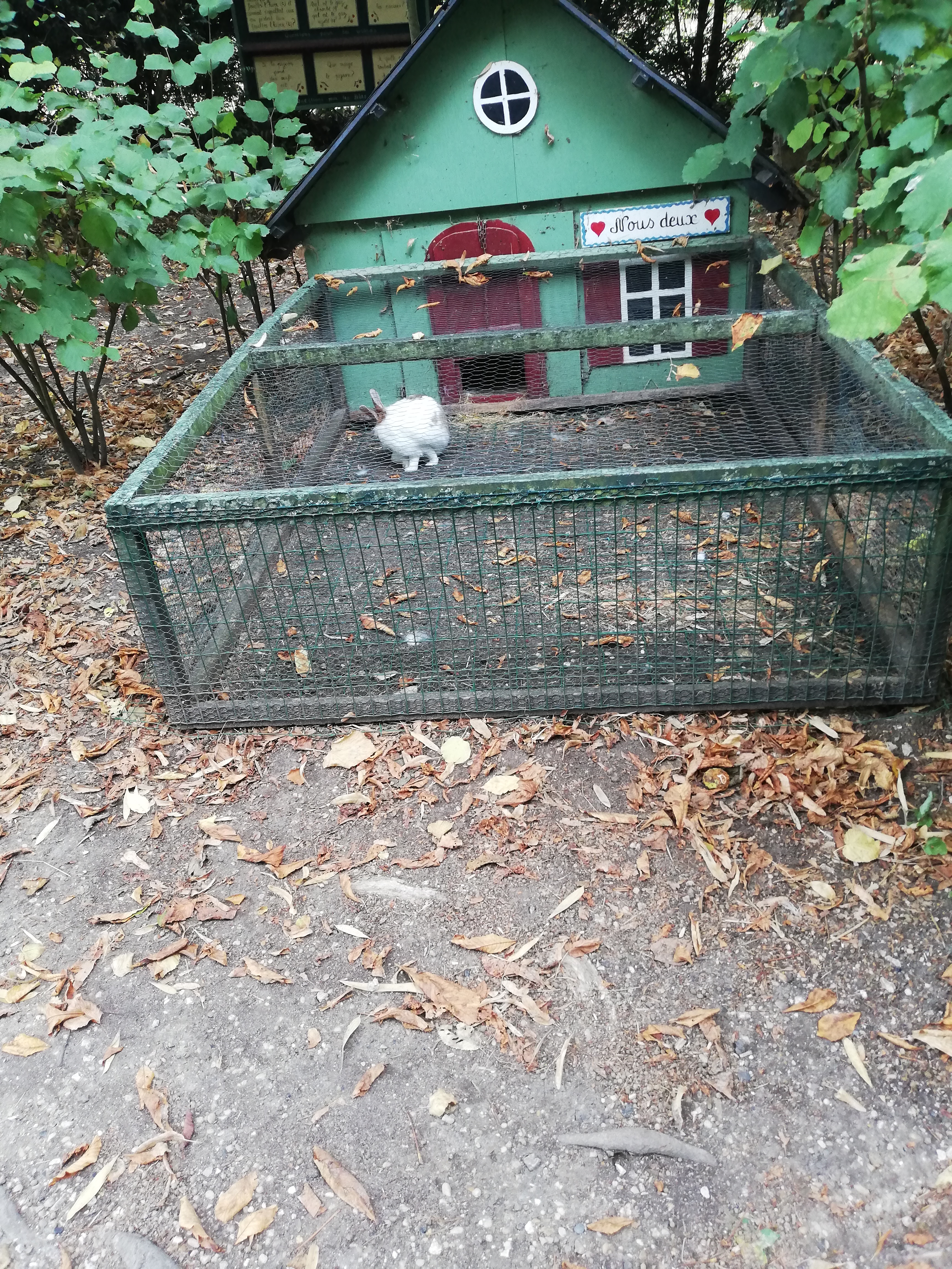 Photo n° 21 de l'avis de Isabelle. fait le 19/08/2022 à 16:46