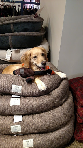 Clothing Store «Orvis», reviews and photos, 11800 W Broad St Suite 1650, Richmond, VA 23233, USA