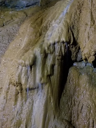 Tourist Attraction «Consolidated Gold Mine», reviews and photos, 185 Consolidated Gold Mine Rd, Dahlonega, GA 30533, USA