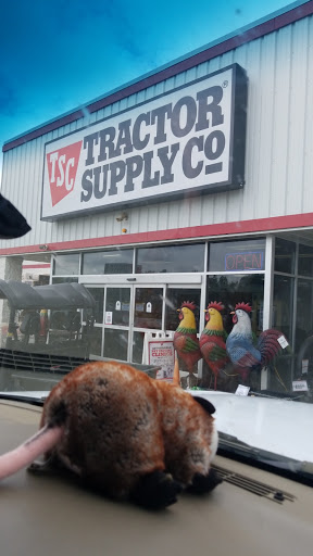 Home Improvement Store «Tractor Supply Co.», reviews and photos, 1266 US-641, Paris, TN 38242, USA