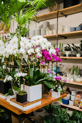 Florist «Englewood Florist, Inc.», reviews and photos, 47 E Palisade Ave, Englewood, NJ 07631, USA