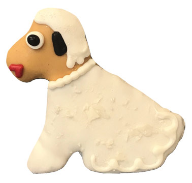 Pet Supply Store «Pets Naturally», reviews and photos, 1420 W South Airport Rd, Traverse City, MI 49686, USA