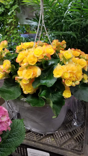 Florist «Sieck-Wright Floral Products», reviews and photos, 231 Monmouth St, Hightstown, NJ 08520, USA