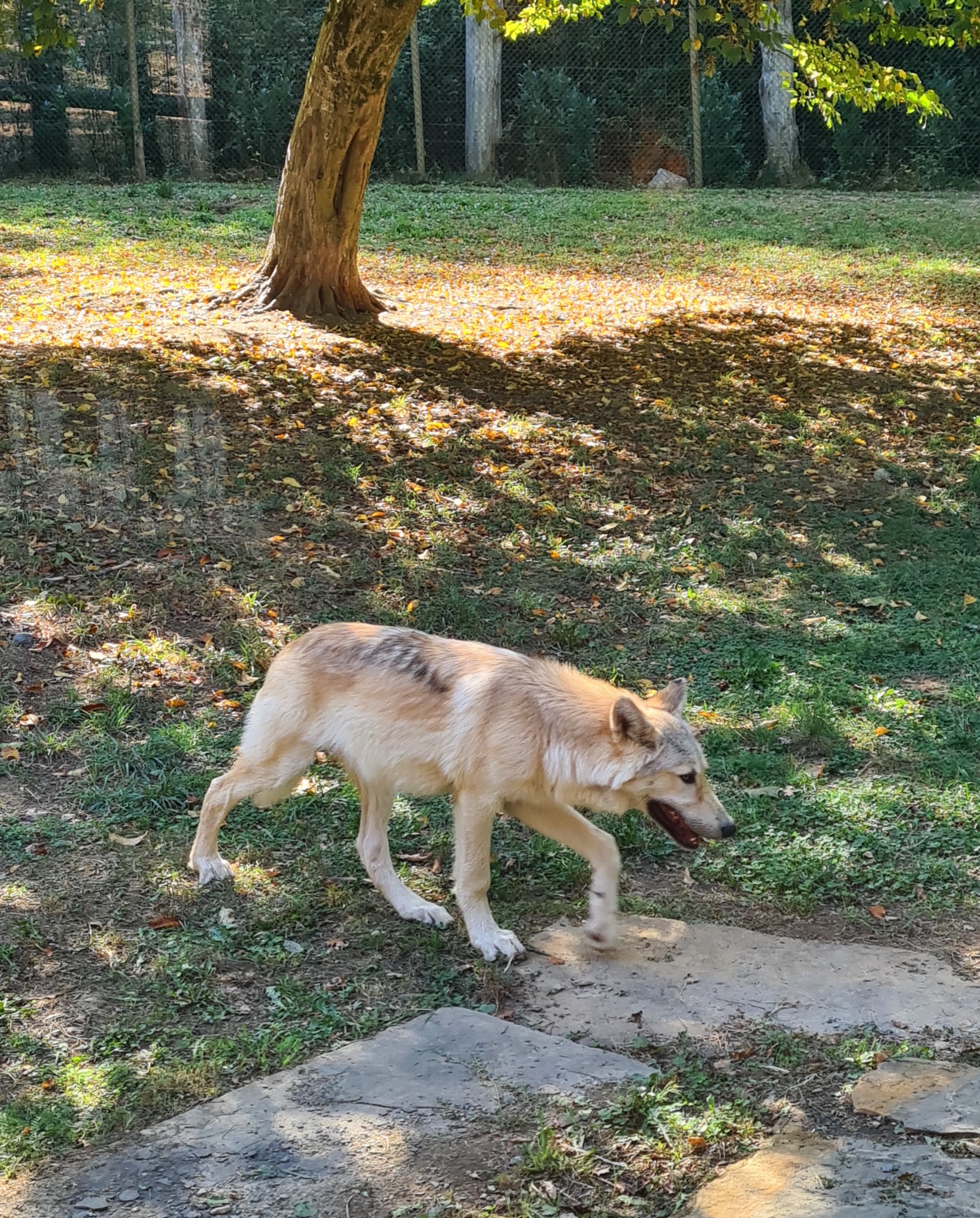 Photo n° 8 de l'avis de Jacky.r fait le 18/09/2022 à 05:13