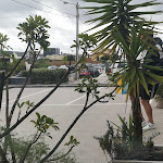 Photo n°18 de l'avis de Solange.u fait le 17/09/2023 à 17:04 sur le  Restaurante Caravela à Avanca