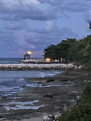 Travel Agency «First Discount Travel», reviews and photos, 4828 Cooper Rd, Cincinnati, OH 45242, USA