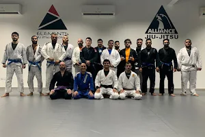 Elements Jiu Jitsu Academy image