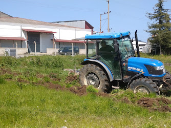 Ordu Üniversitesi Ziraat Fakültesi Uygulama Arazisi