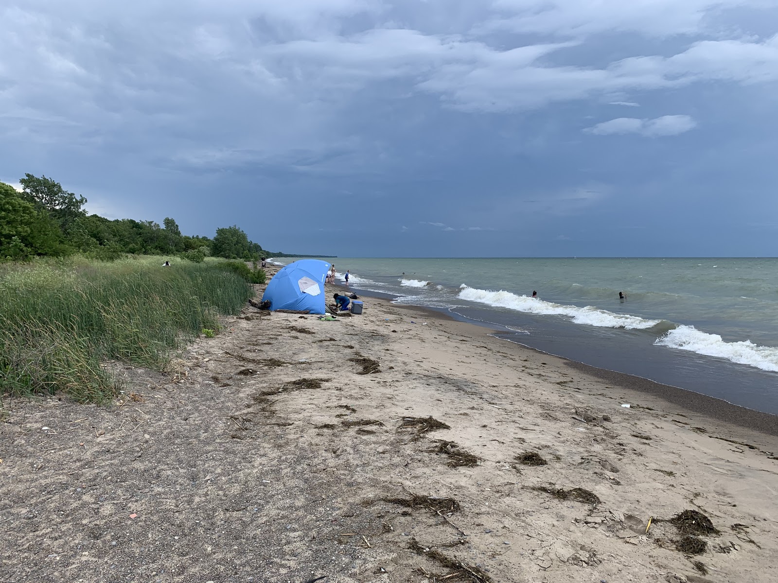 Photo de Black Willow Beach - endroit populaire parmi les connaisseurs de la détente