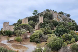 Chateau d'Hyères image