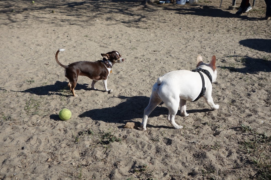 Alameda Dog Park