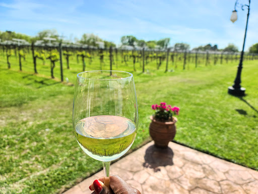 Winery «Haak Vineyards & Winery Inc», reviews and photos, 6310 Avenue T, Santa Fe, TX 77510, USA