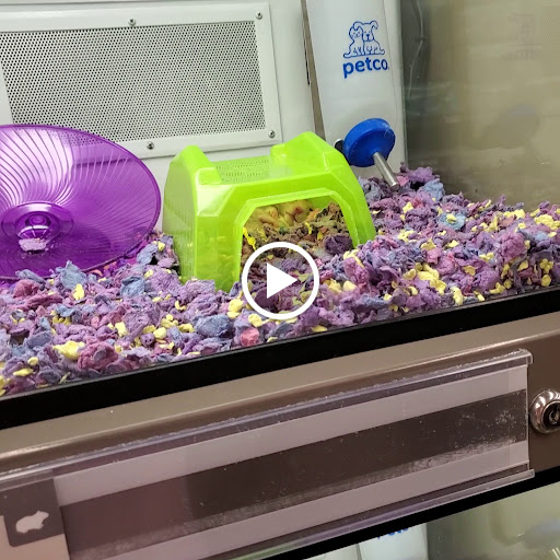 Pet Supply Store «Petco Animal Supplies», reviews and photos, 2210 N Eagle Rd, Meridian, ID 83646, USA