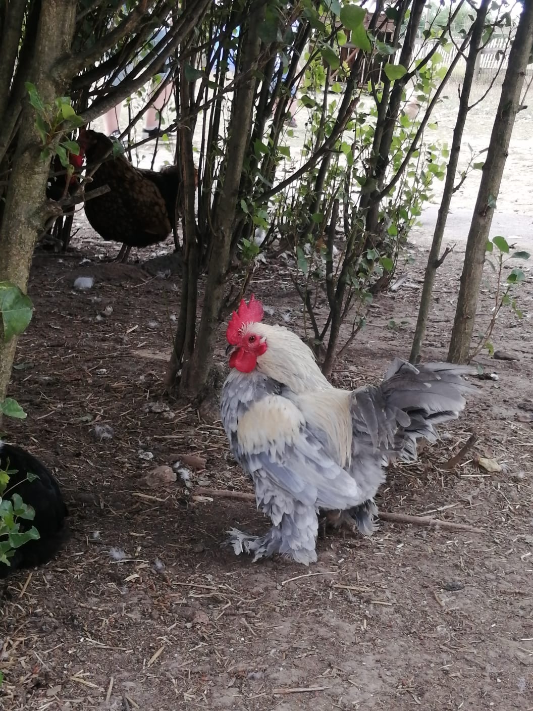 Photo n° 1 de l'avis de Nicolas.o fait le 07/07/2022 à 19:09