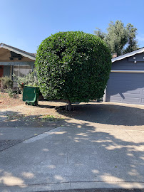 jc landscaping - Photo 5 - Car repair in , Oakland